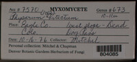 Image Associated With the Occurence